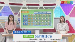 「梅雨入り」迫る･･･降水量が平年よりも多くなる確率が高く警戒が必要【気象予報士が解説｜新潟】 2026年06月15日(月)