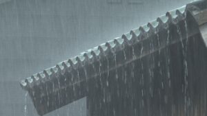 大雨の所も・・・新潟  中越と下越  22日昼前にかけ低地の浸水や土砂災害などに注意・警戒【新潟】 2026年06月21日(日)