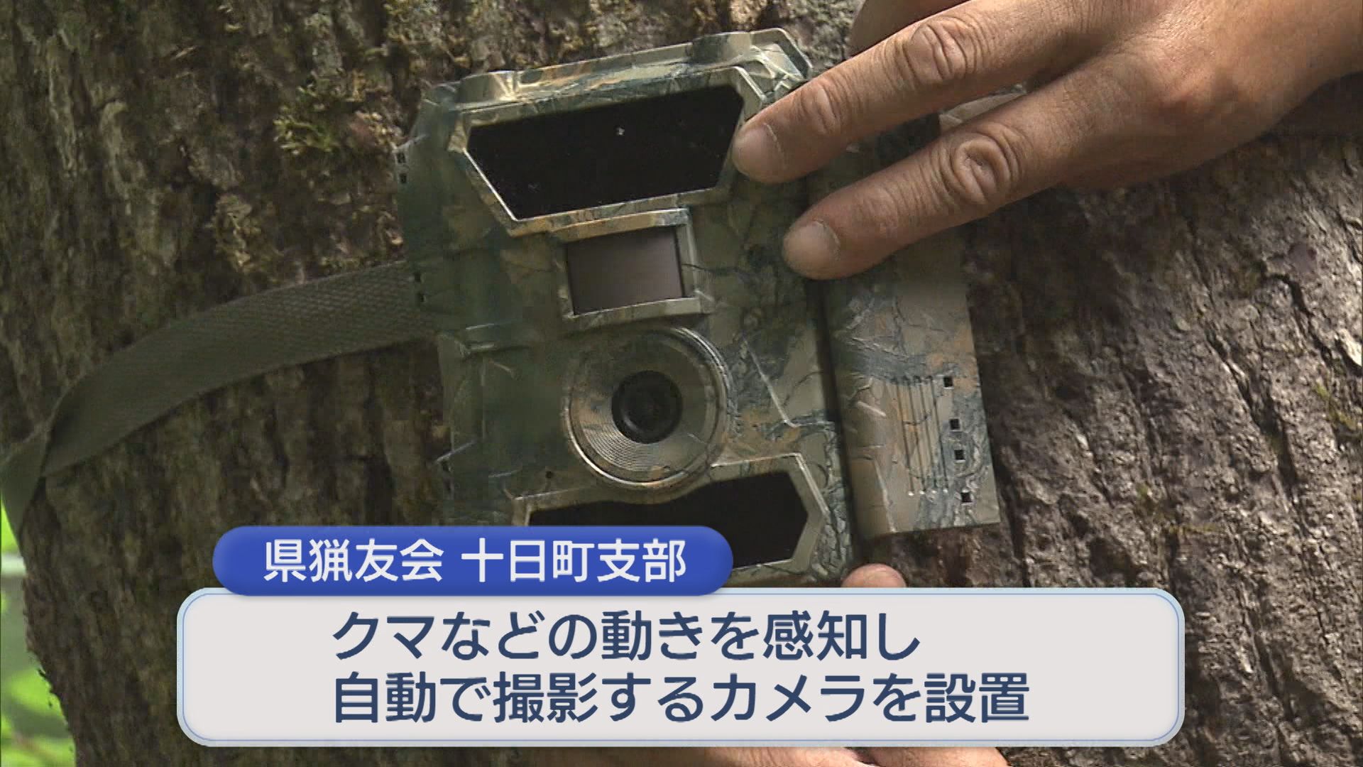 クマの生息数「実態を記録したい」山中にカメラ設置【新潟・十日町市】