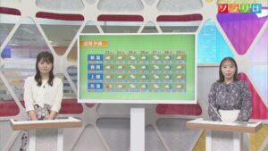 23日は天気が回復傾向 今週後半は雨が強まる日も【気象予報士が解説｜新潟】 2026年06月22日(月)