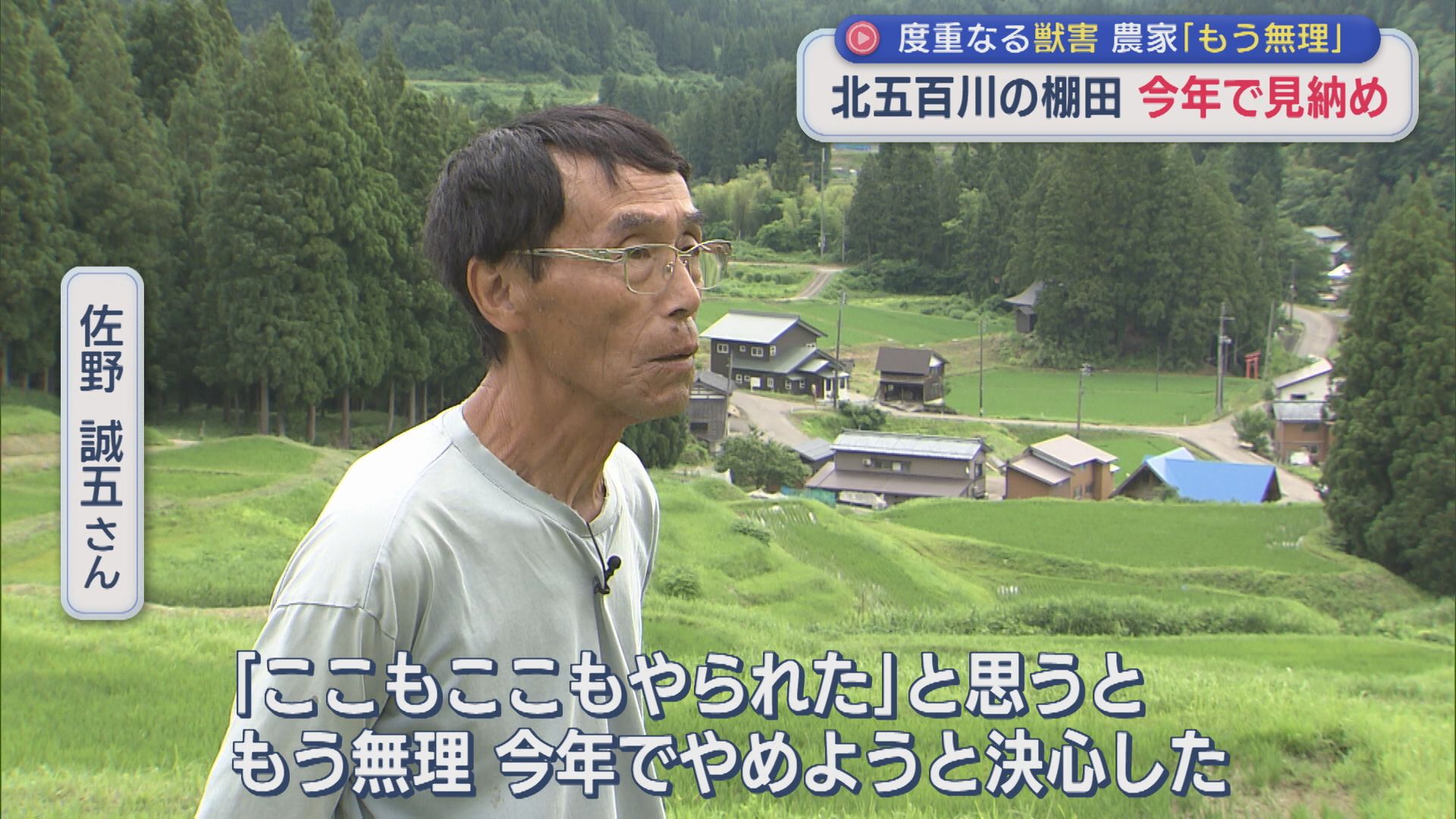 度重なる獣害･･･農家「もう無理」北五百川の棚田 今年で見納め【新潟・三条市】