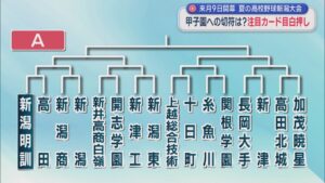 【高校野球】注目の組み合わせは？注目カードが目白押し、初戦から強豪激突【新潟】 2026年06月26日(金)
