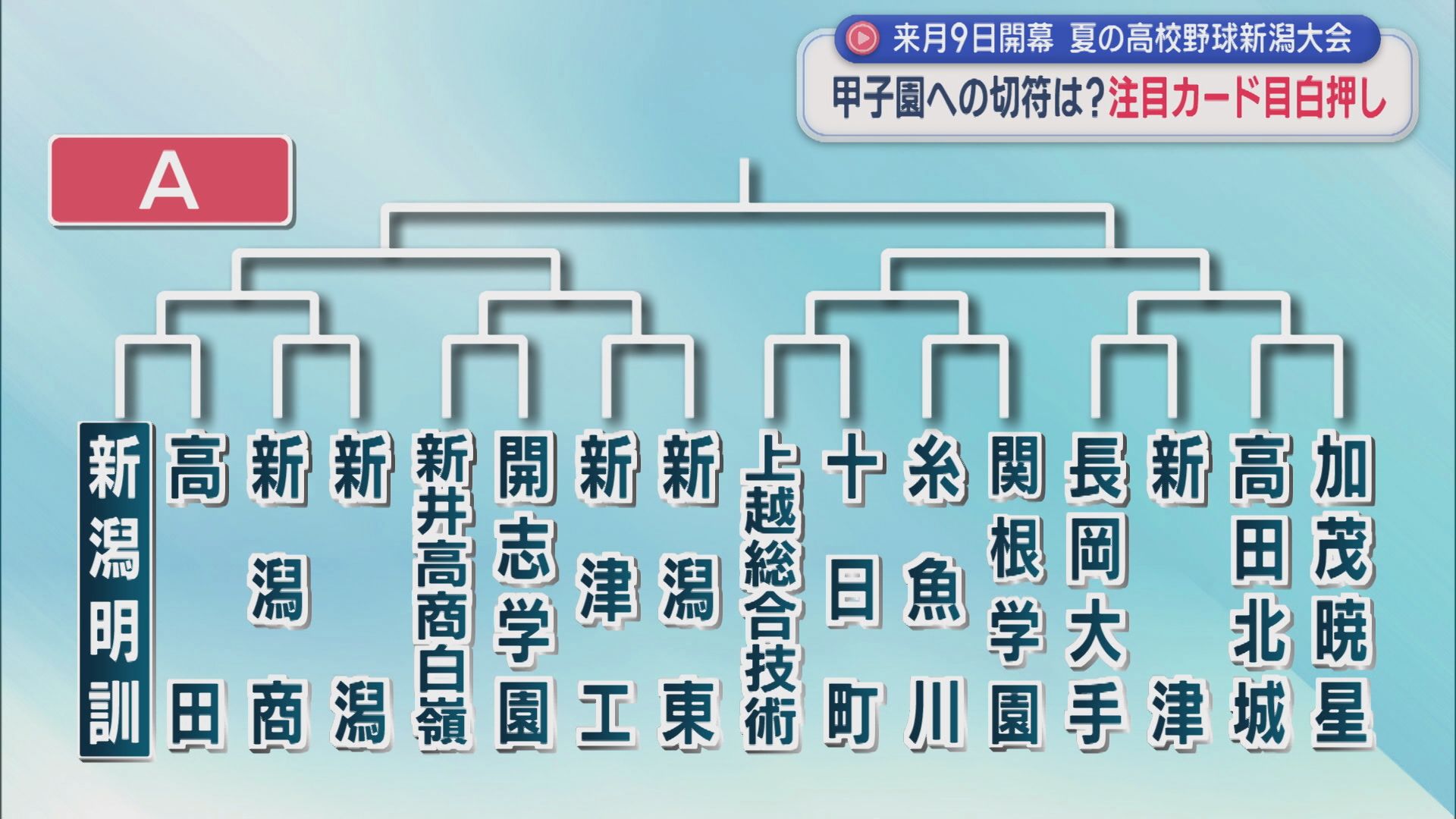 【高校野球】注目の組み合わせは？注目カードが目白押し、初戦から強豪激突【新潟】