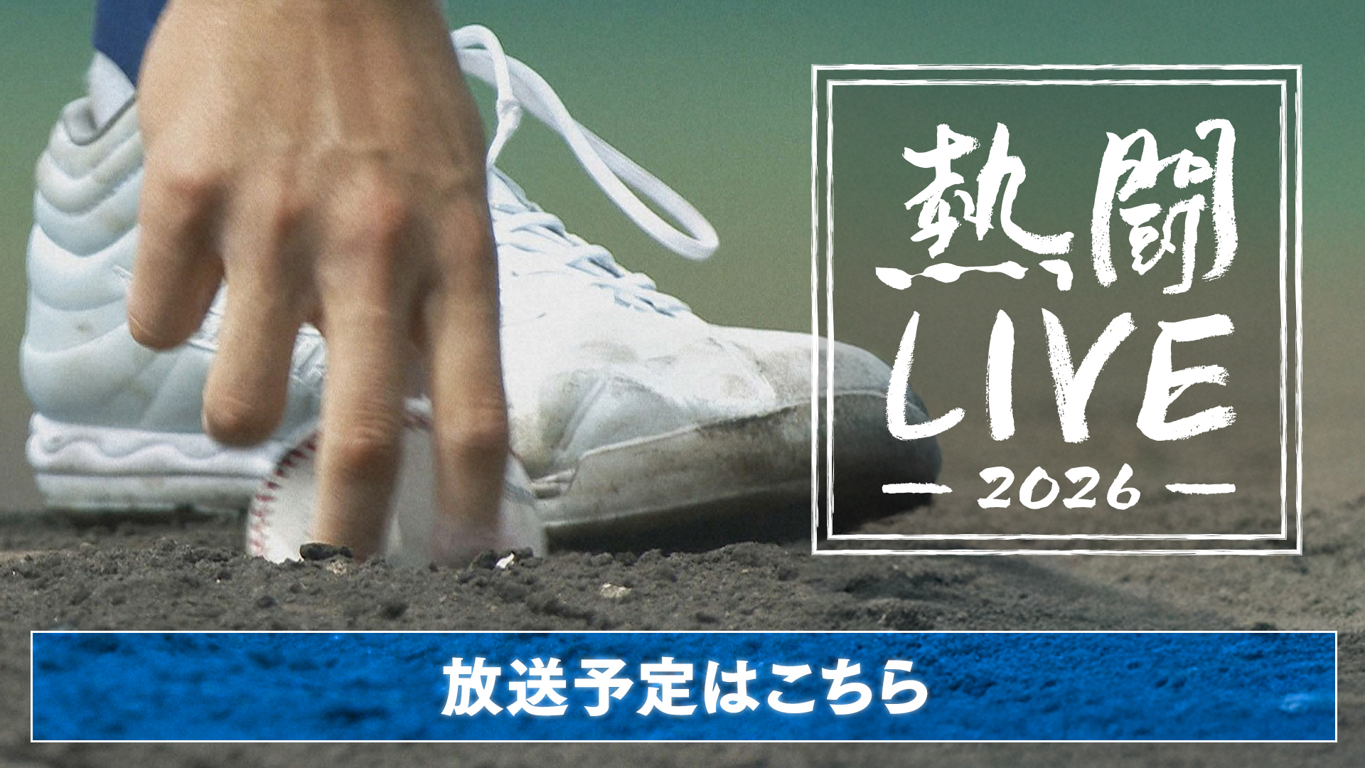 熱闘LIVE2026