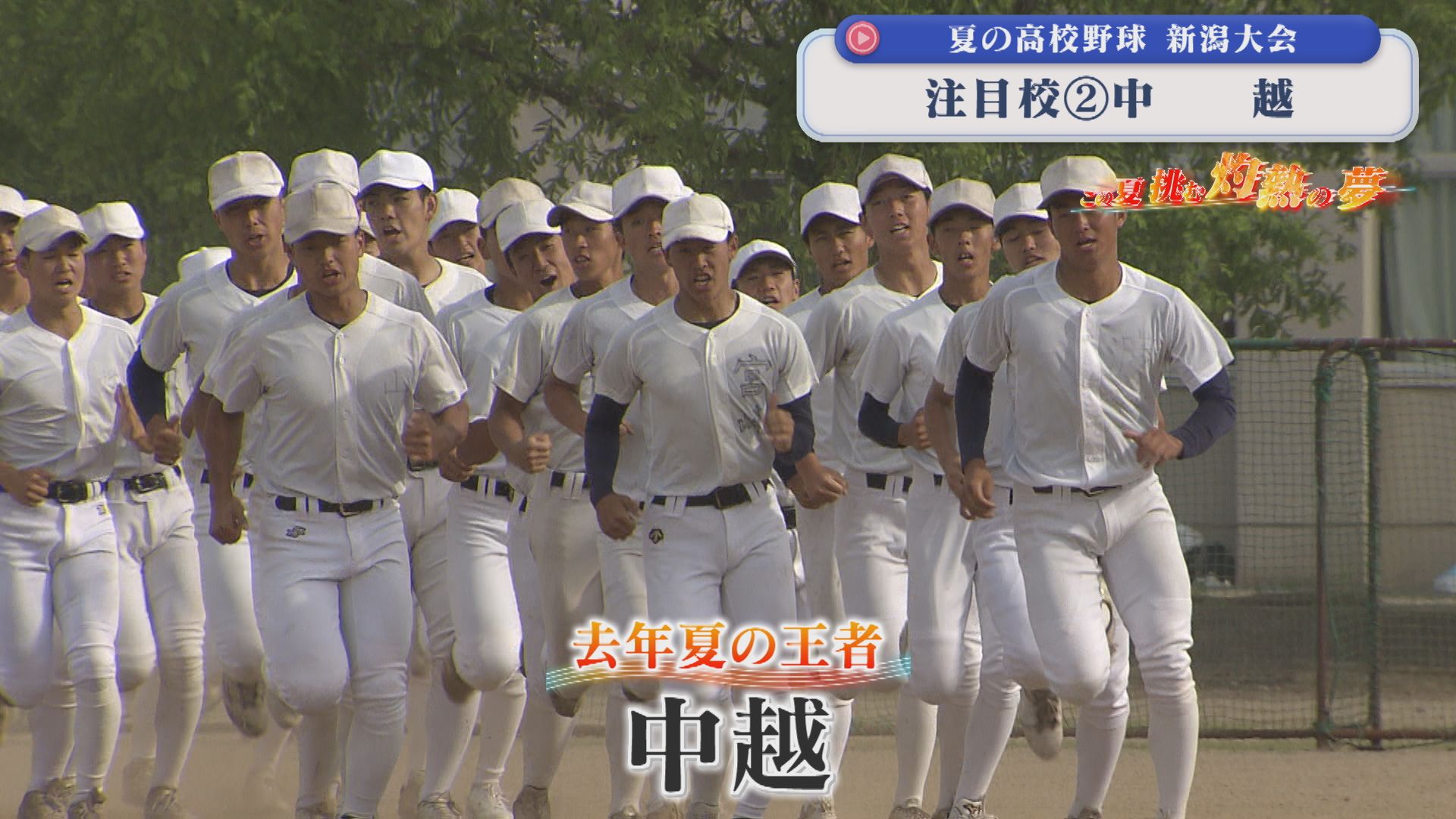 【夏の高校野球】もう一度あの舞台へ 2025年夏の王者「中越」：注目校②【新潟】