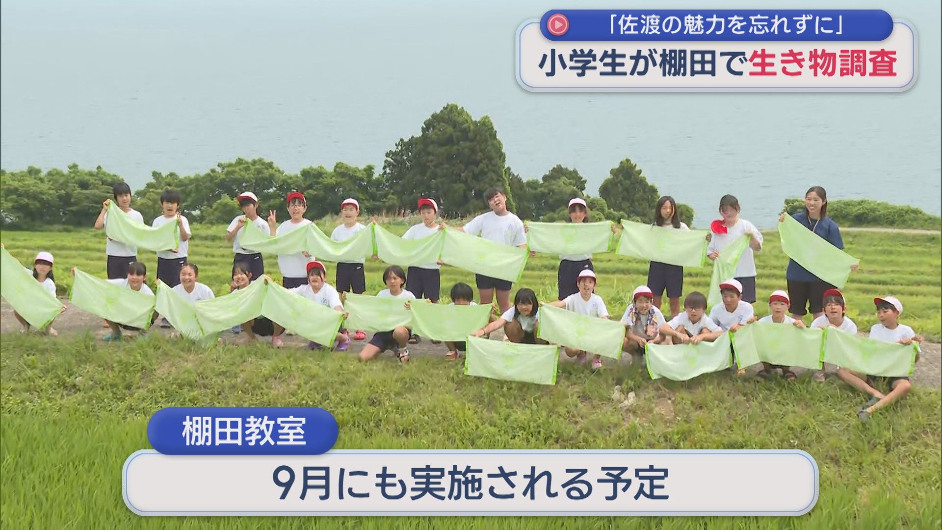 地域の手で守られてきた「歌見の棚田」小学生が生き物調査【新潟・佐渡市】