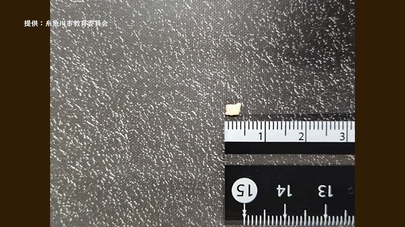 園児の給食のご飯のなかに･･･4mm角の白い塊の異物が混入【新潟･糸魚川市】 2026年07月02日(木)