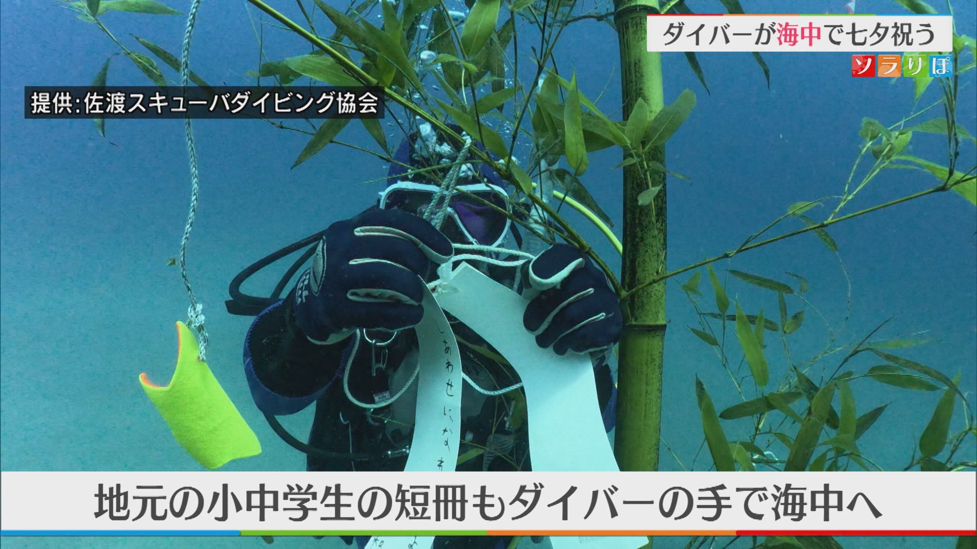 水深20mに願いを込めた短冊 ダイバーが海中で七夕祝う【新潟・佐渡市】
