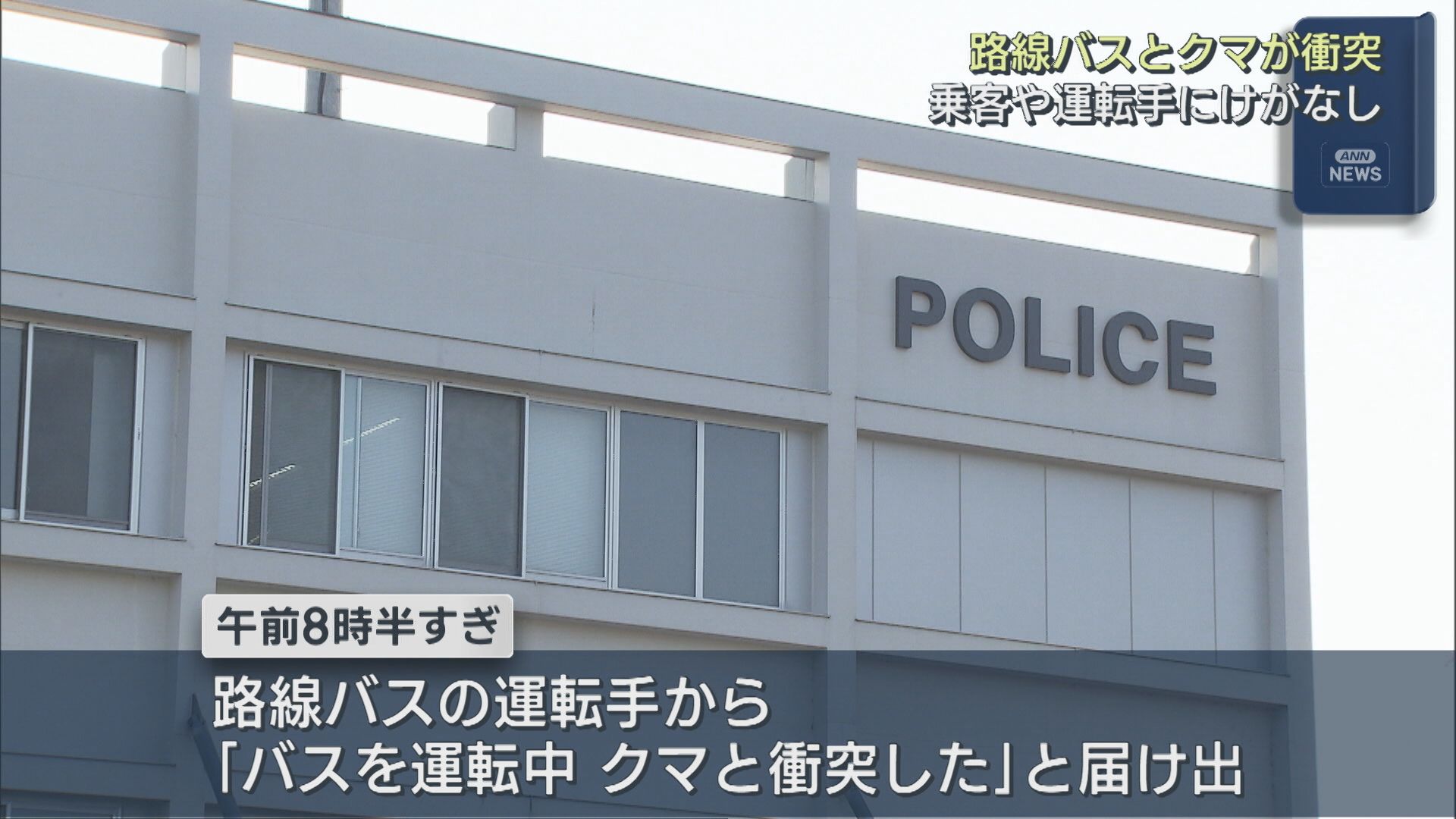 妙高市の県道で路線バスと体長約80cmのクマが衝突 ケガ人なし【新潟】