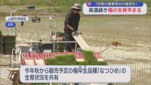 高温続き･･･稲の生育早まる「早期の農業用水の確保を」県やJAが対策会議【新潟】 2026年07月09日(木)
