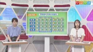 週明けにかけて警報級の大雨の可能性【気象予報士が解説｜新潟】 2026年07月10日(金)