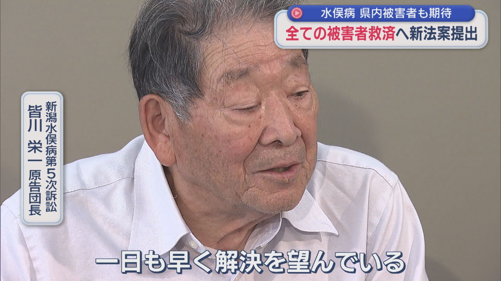 県内の被害者らも期待 すべての水俣病被害者救済へ新法案提出【新潟】