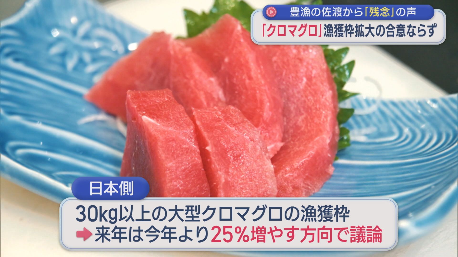 豊漁の佐渡からは「残念」の声･･･クロマグロ漁獲枠拡大の合意ならず【新潟】