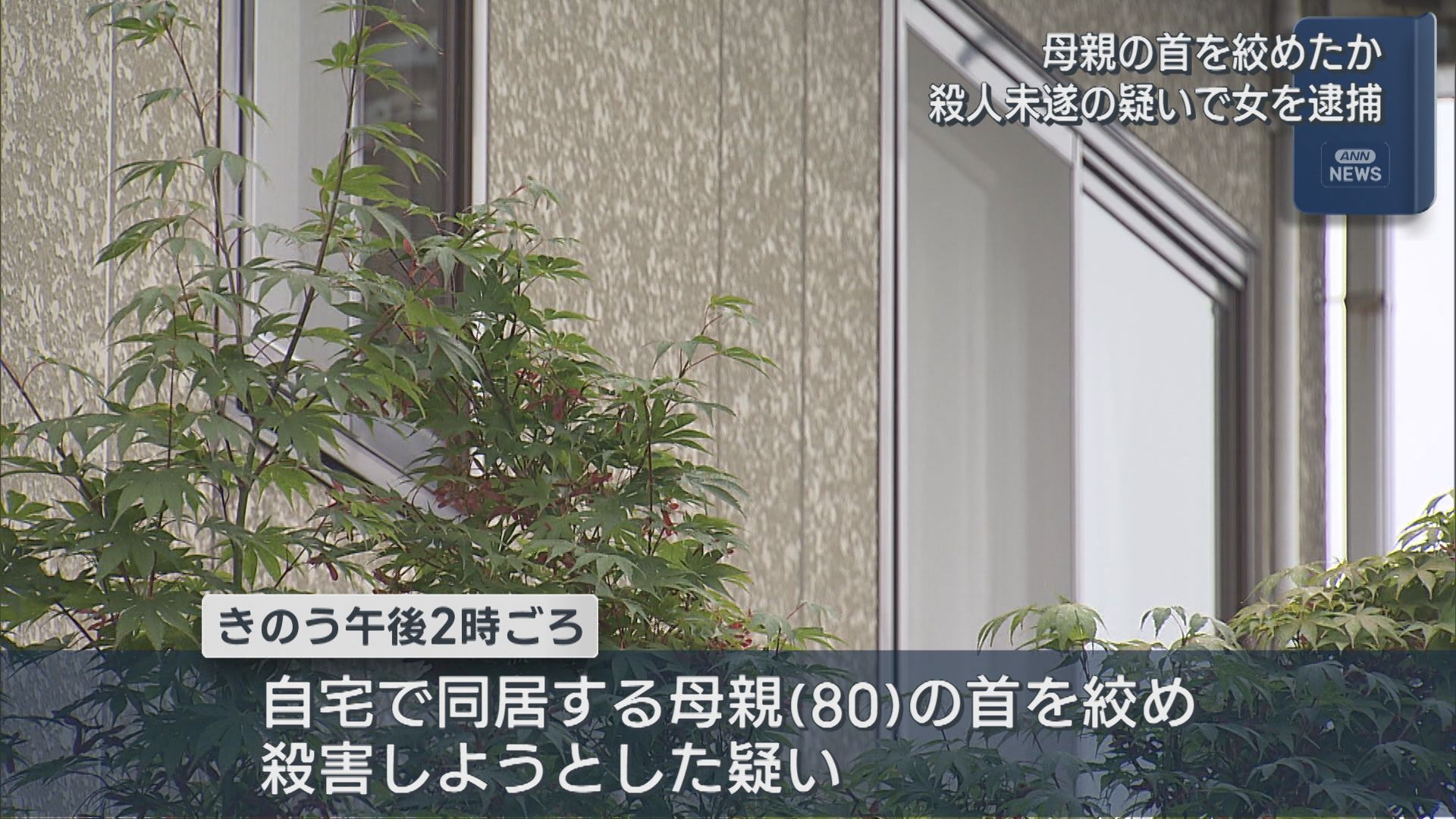 母親の首を絞めたか 殺人未遂の疑いで同居する無職の女を逮捕【新潟】 2026年07月31日(金)