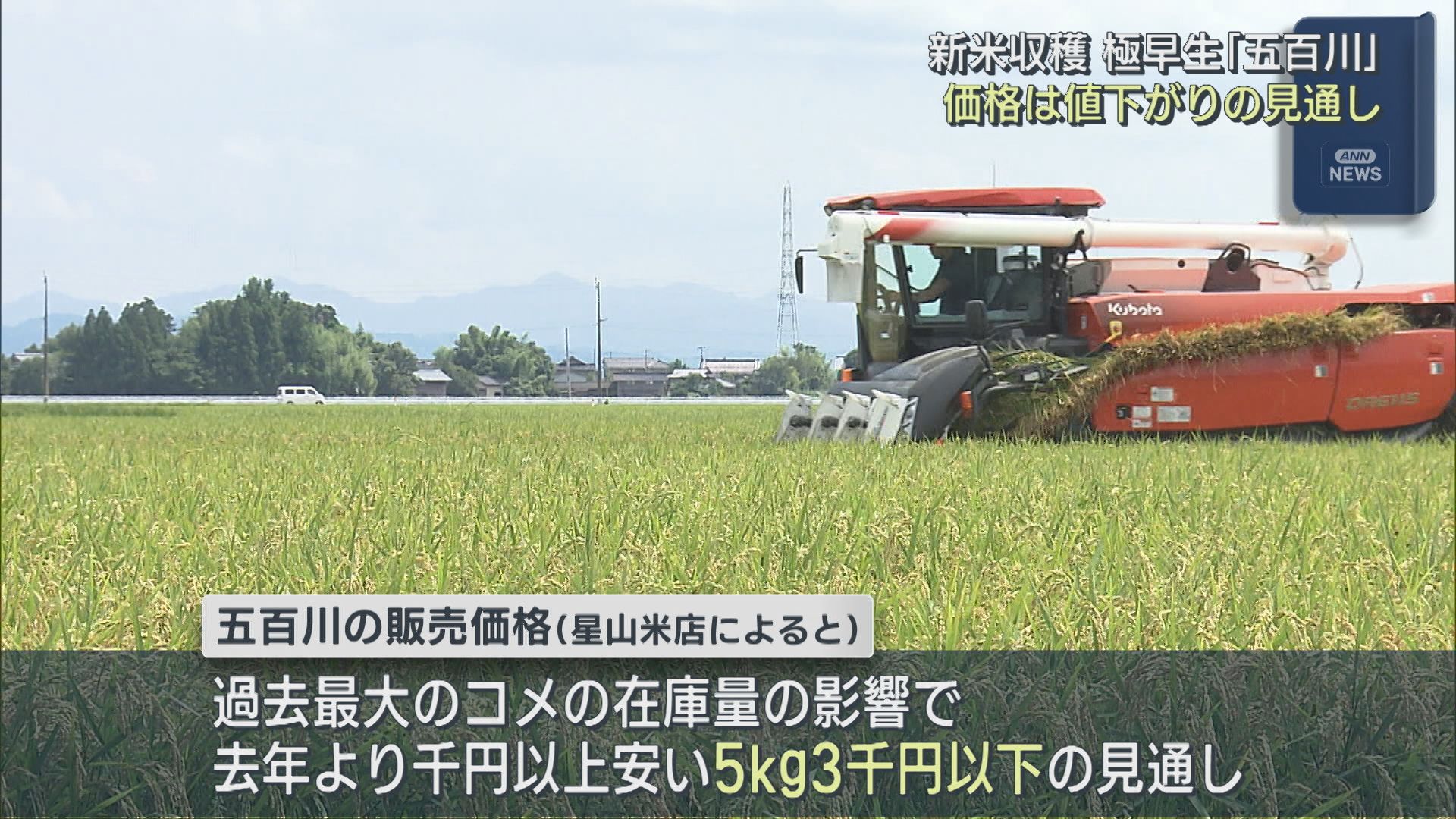 新米を収穫 極早生「五百川」稲刈り始まる 価格は値下がりの見通し【新潟】 2026年08月04日(火)