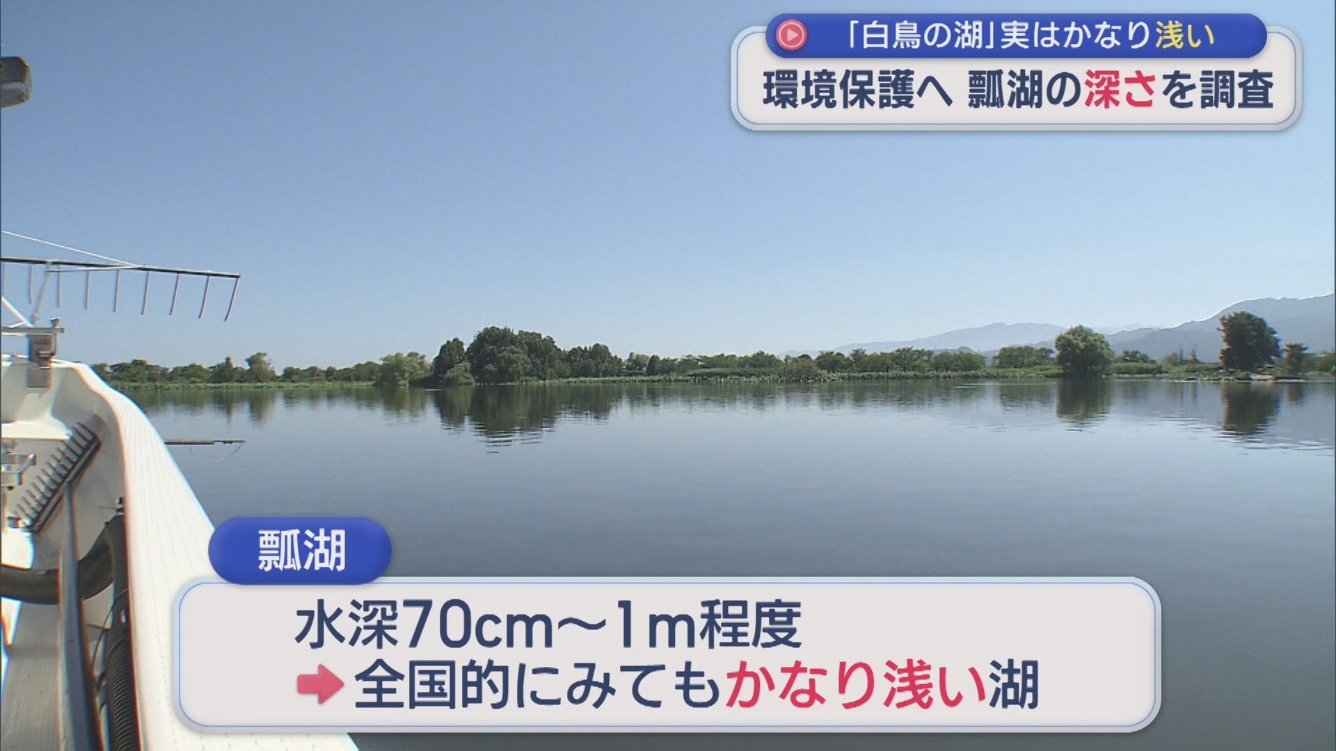 「白鳥の湖」じつはかなり浅い 瓢湖の深さを調査し環境保護へ【新潟・阿賀野市】 2026年08月05日(水)