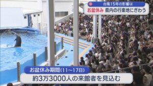 台風15号の影響は？お盆休み 県内の行楽地にぎわう【新潟】 2026年08月12日(水)