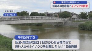 新潟市東区の住宅街でイノシシの目撃相次ぐ 警察が注意呼びかけ【新潟】 2026年08月12日(水)