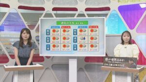 土曜も天気が急変 激しく降るところも【気象予報士が解説｜新潟】 2026年08月14日(金)