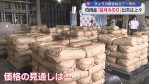 価格の見通しは？柏崎産「葉月みのり」17日検査したコメすべて一等米【新潟】 2026年08月17日(月)