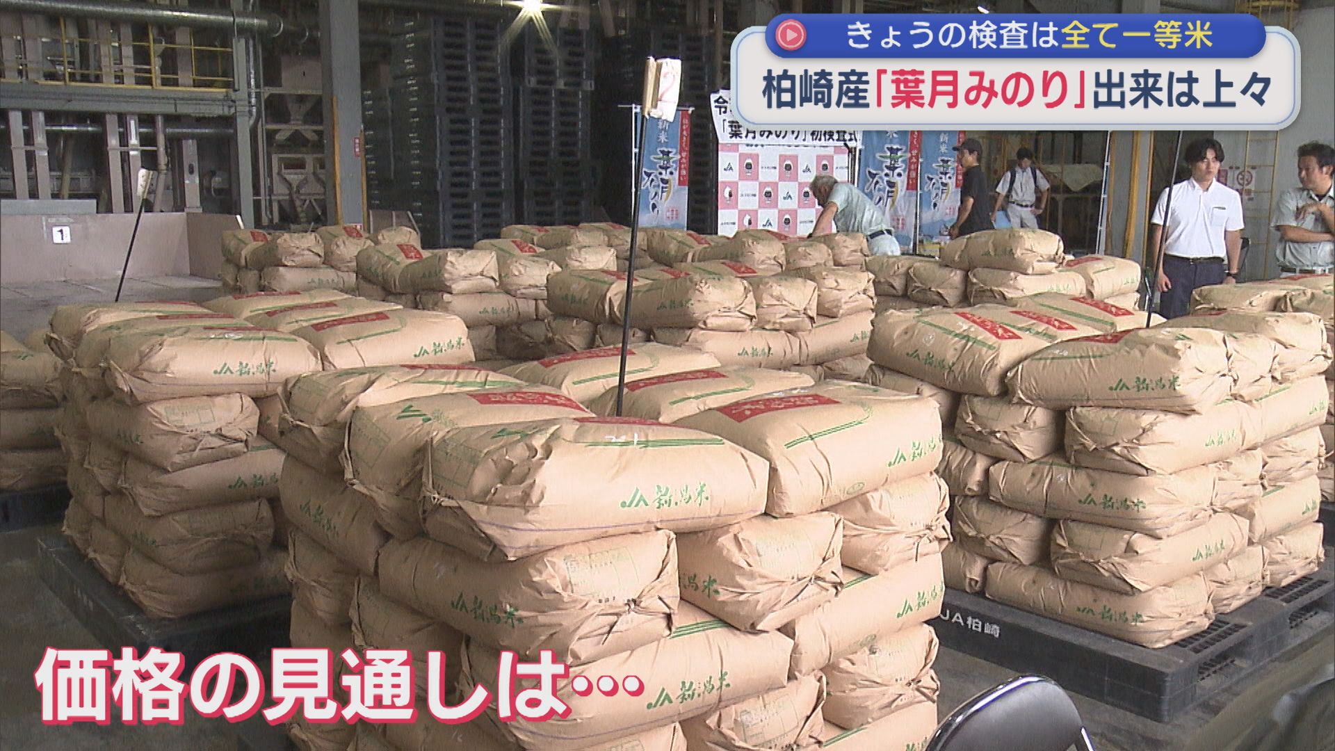 価格の見通しは？柏崎産「葉月みのり」17日検査したコメすべて一等米【新潟】