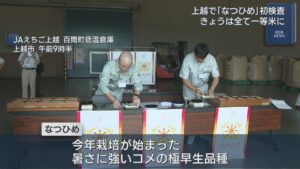上越で新品種米「なつひめ」初検査 24日はすべて〝一等米〟【新潟】 2026年08月24日(月)