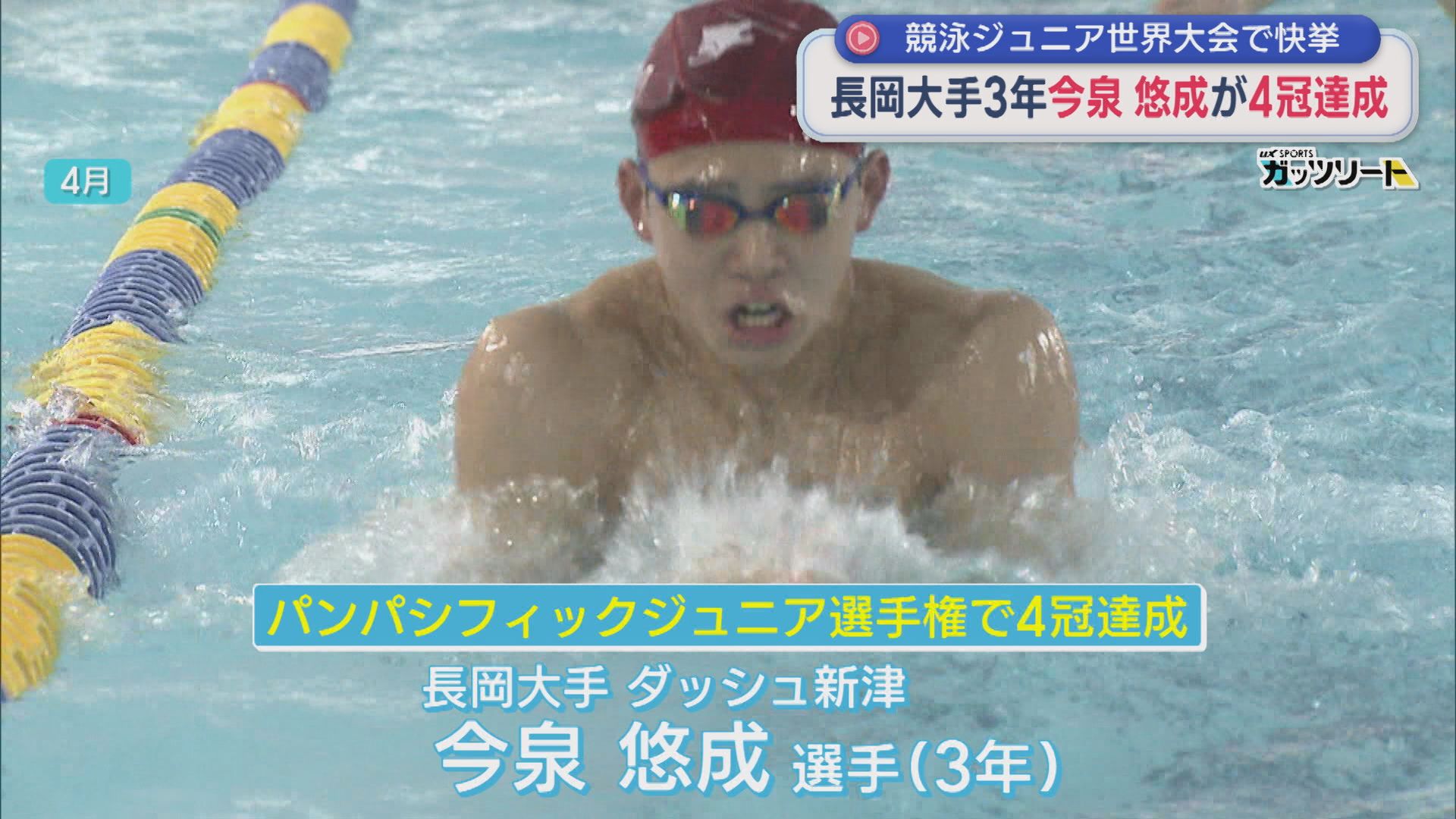 競泳ジュニア世界大会で快挙！長岡大手3年・今泉悠成選手が4冠達成【新潟】 2026年08月24日(月)