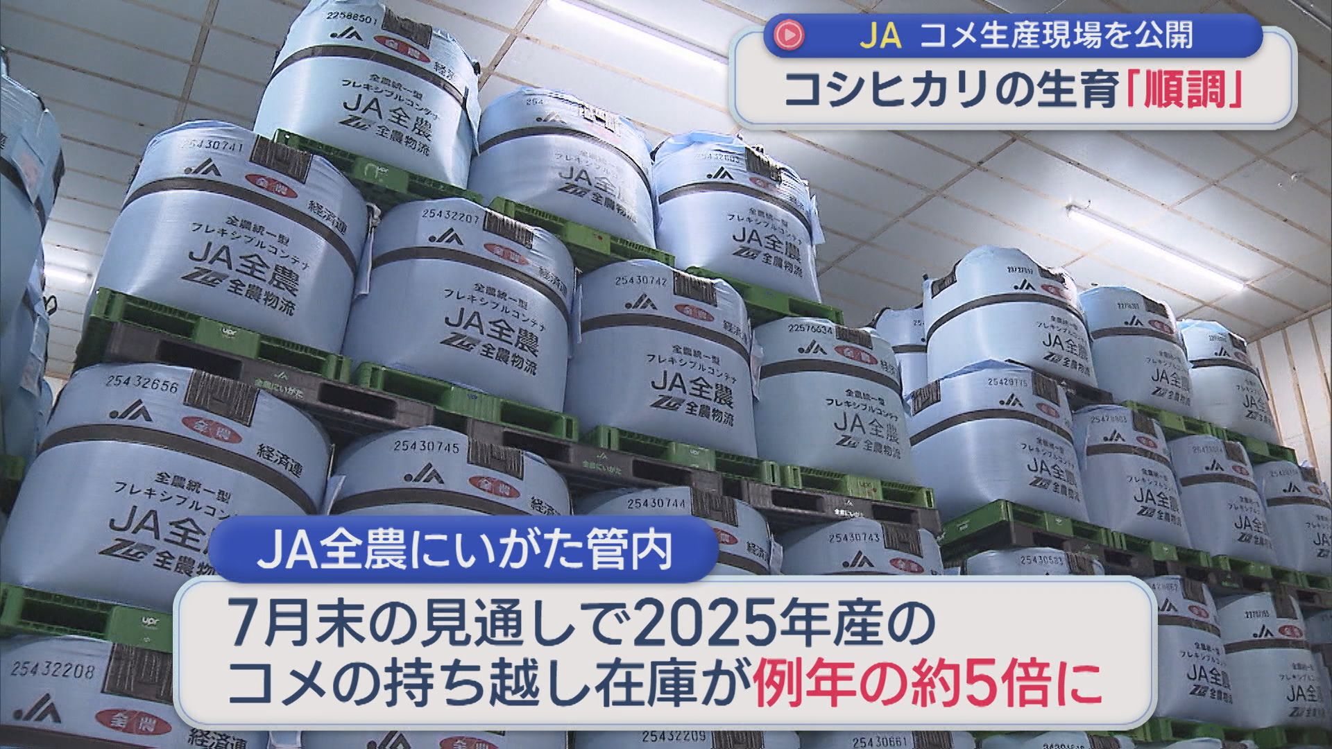 JA全農がコメ生産現場を公開 コメの持ち越し在庫が例年の約5倍に【新潟】 2026年08月27日(木)