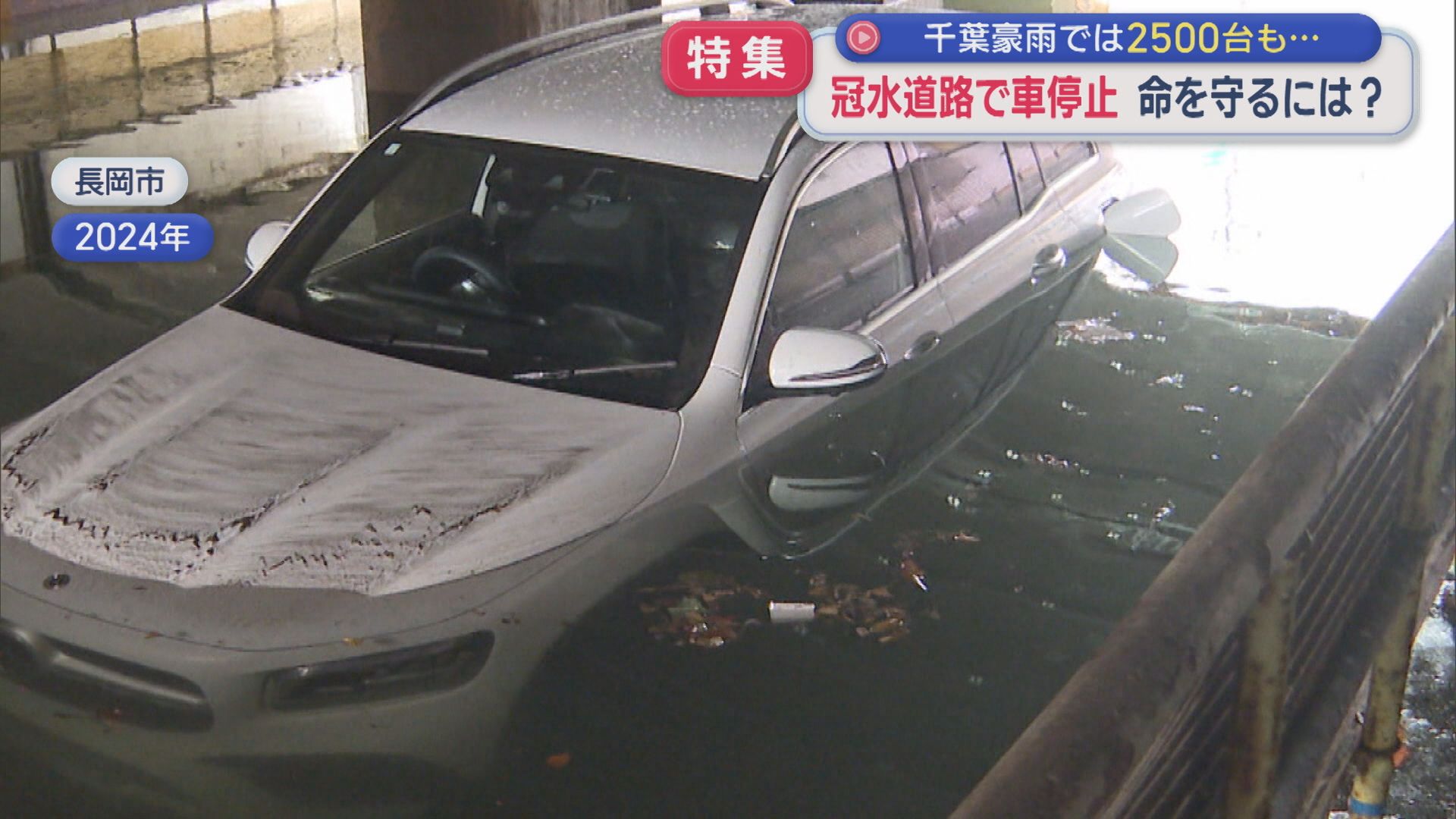 【特集】冠水道路で車が停止･･･「命を守るには」県内で冠水が予測される道路は548カ所【新潟】 2026年08月28日(金)