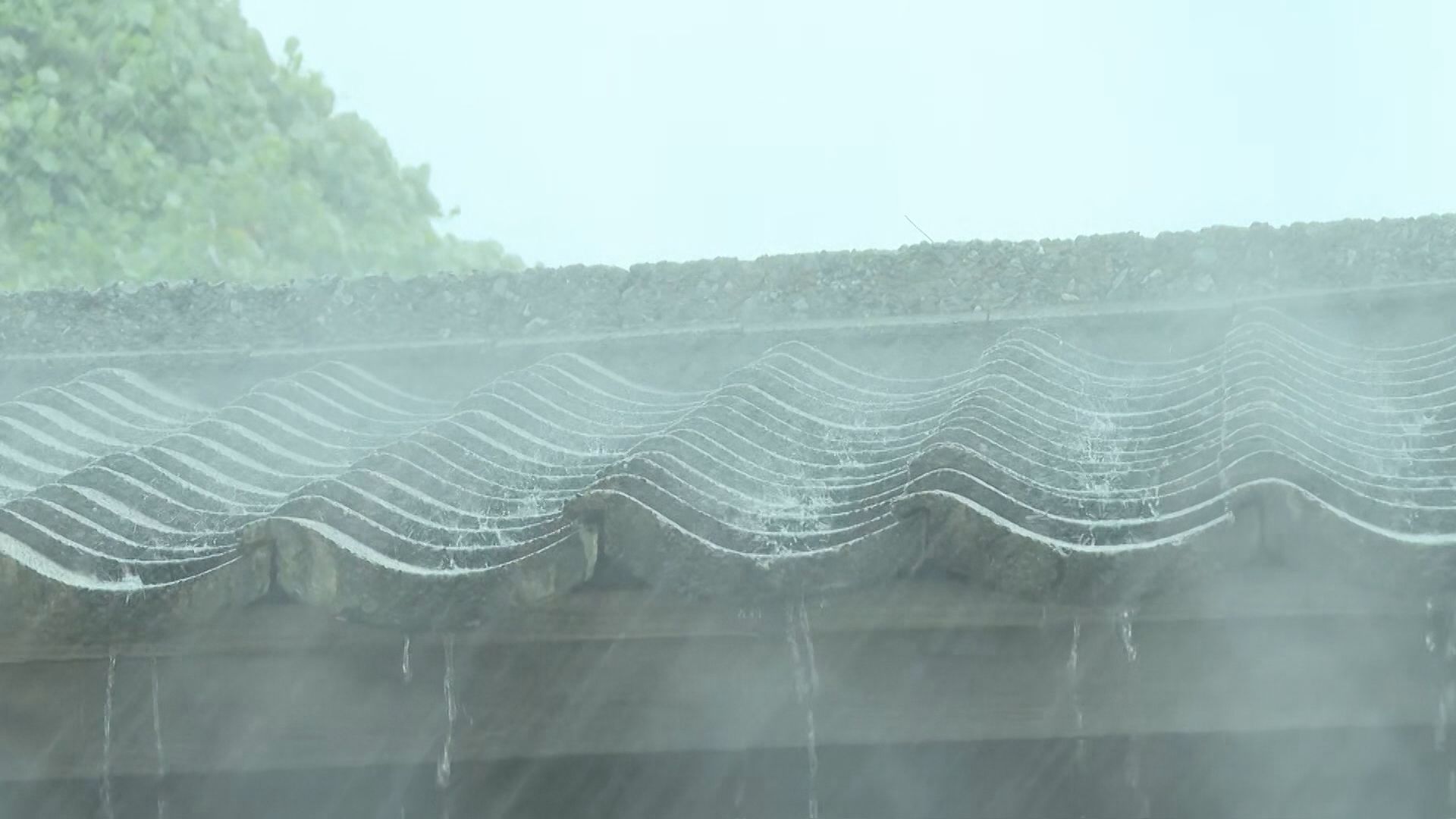 大気の状態が不安定　夜遅くにかけて大雨となる所も【新潟】 2026年08月30日(日)