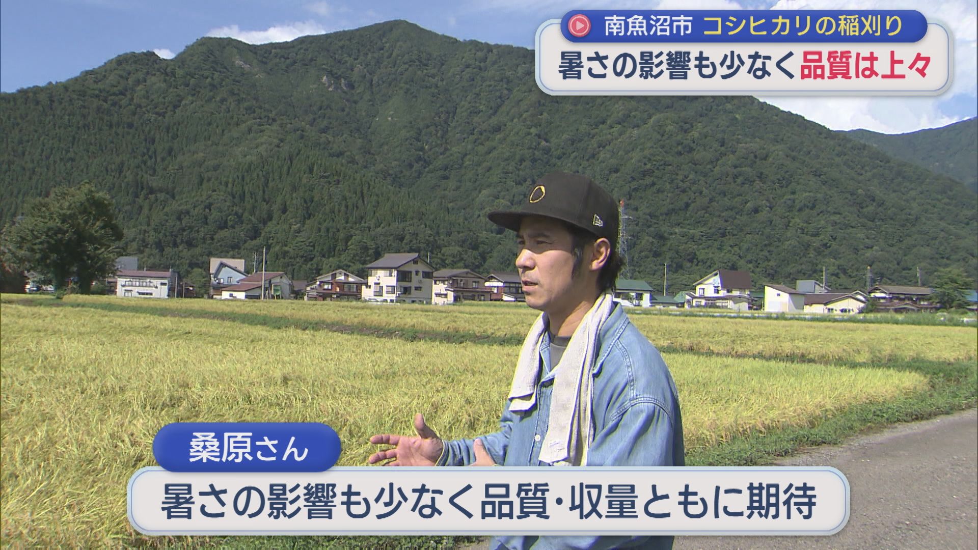 南魚沼市 品質は上々「コシヒカリ」稲刈り始まる、仮渡金の価格に農家「正直安い」【新潟】 2026年08月31日(月)