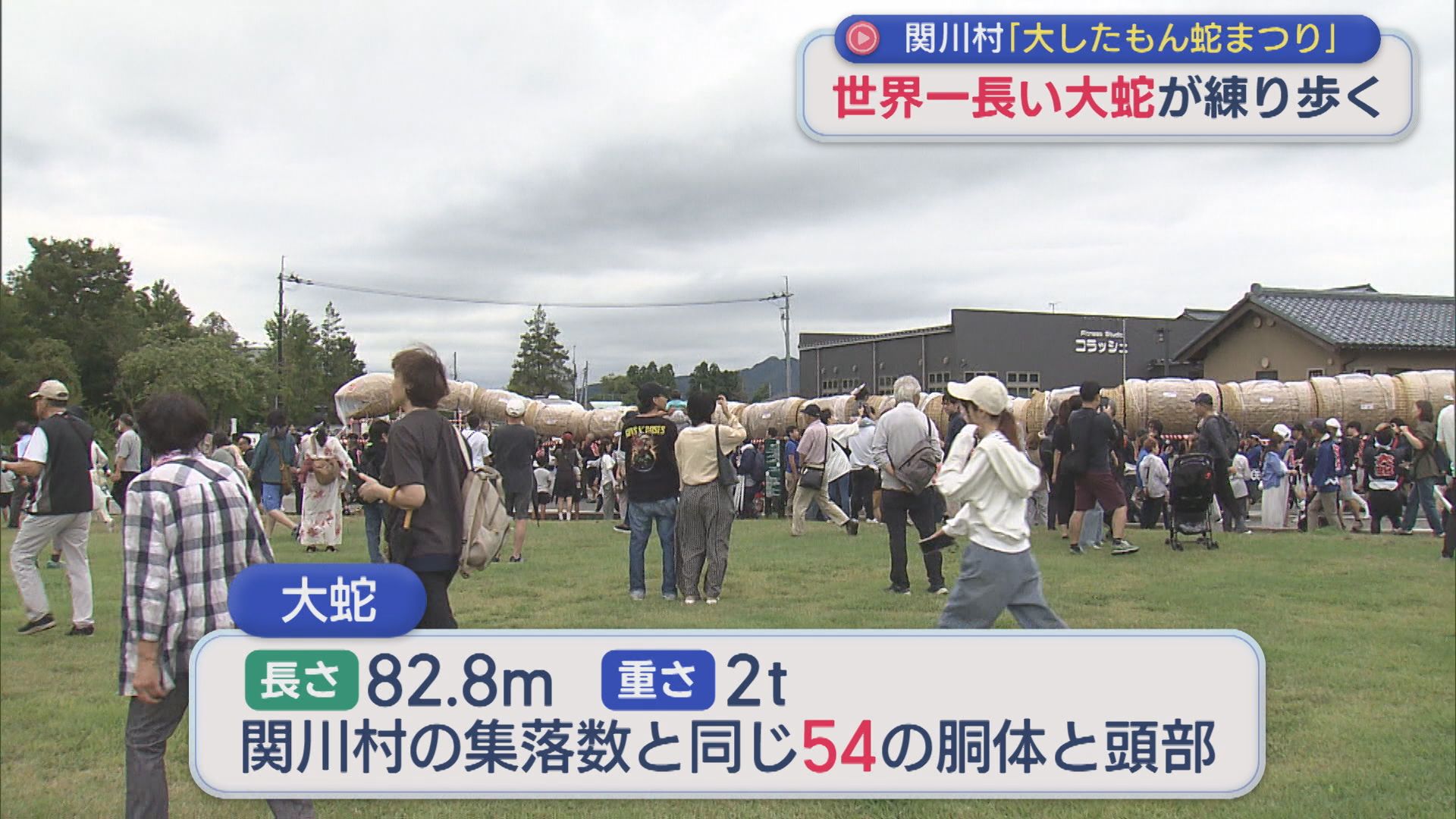 長さは82.8m・重さは2t 世界一長い大蛇が練り歩く 関川村「大したもん蛇まつり」【新潟】 2026年08月31日(月)