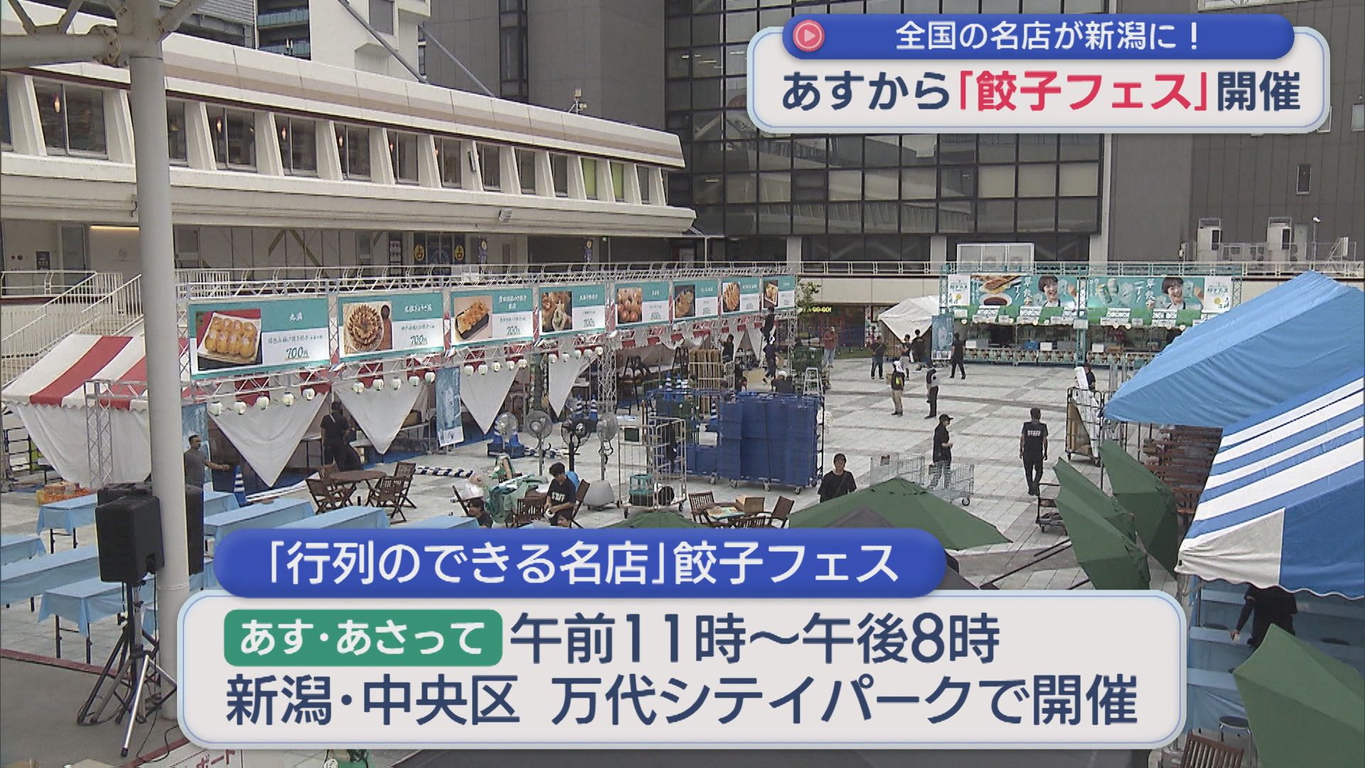 全国各地の行列ができる名店が新潟に！週末「餃子フェス」開催【新潟】 2026年09月04日(金)