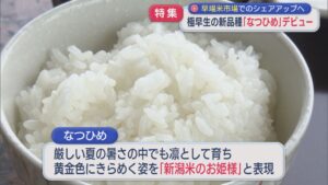 早場米市場でのシェア獲得を目指す！「なつひめ」ついにデビュー値段は？味は？【新潟】 2026年09月09日(水)