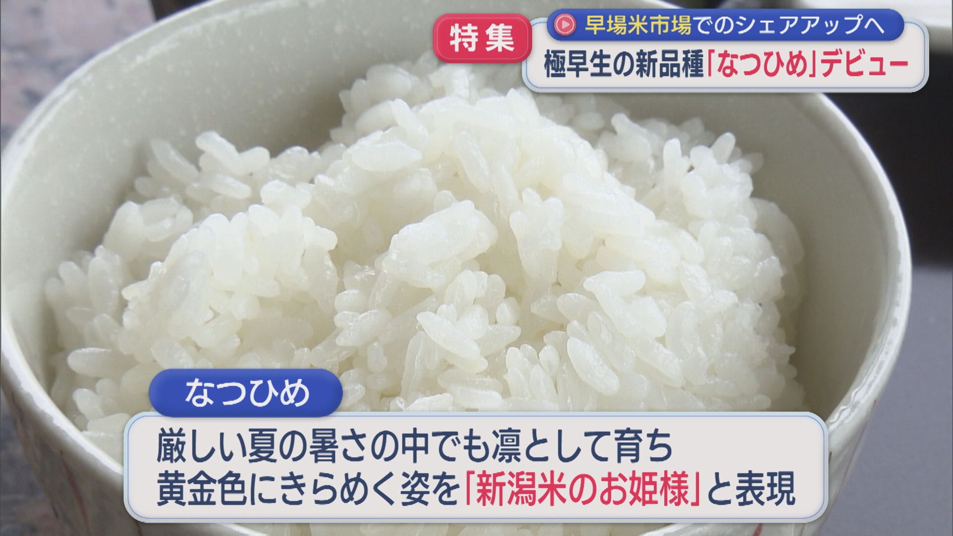 早場米市場でのシェア獲得を目指す！「なつひめ」ついにデビュー値段は？味は？【新潟】 2026年09月09日(水)