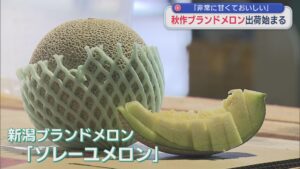 砂丘地のハウスで栽培された秋作のブランドメロン出荷始まる「非常に甘くておいしい」【新潟】 2026年09月09日(水)