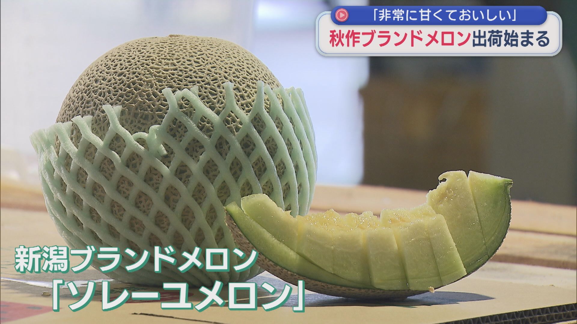 砂丘地のハウスで栽培された秋作のブランドメロン出荷始まる「非常に甘くておいしい」【新潟】 2026年09月09日(水)