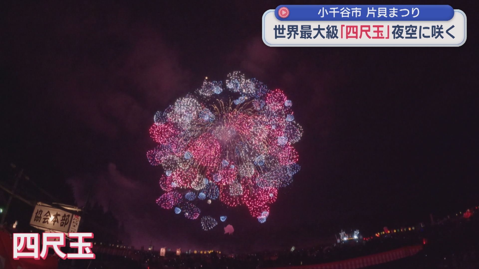世界最大級 直径800mにおよぶ「四尺玉」が夜空に咲く：小千谷市・片貝まつり【新潟】 2026年09月14日(月)