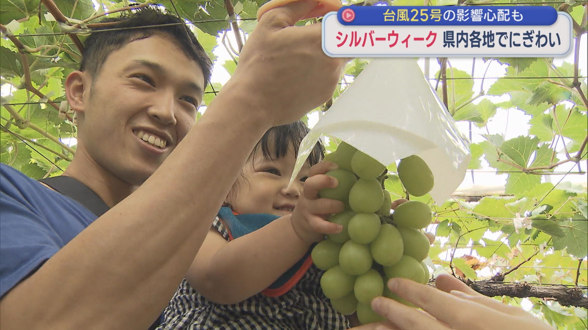 秋の味覚・ブドウ狩り 家族連れでにぎわう：シルバーウィーク県内各地は？【新潟】