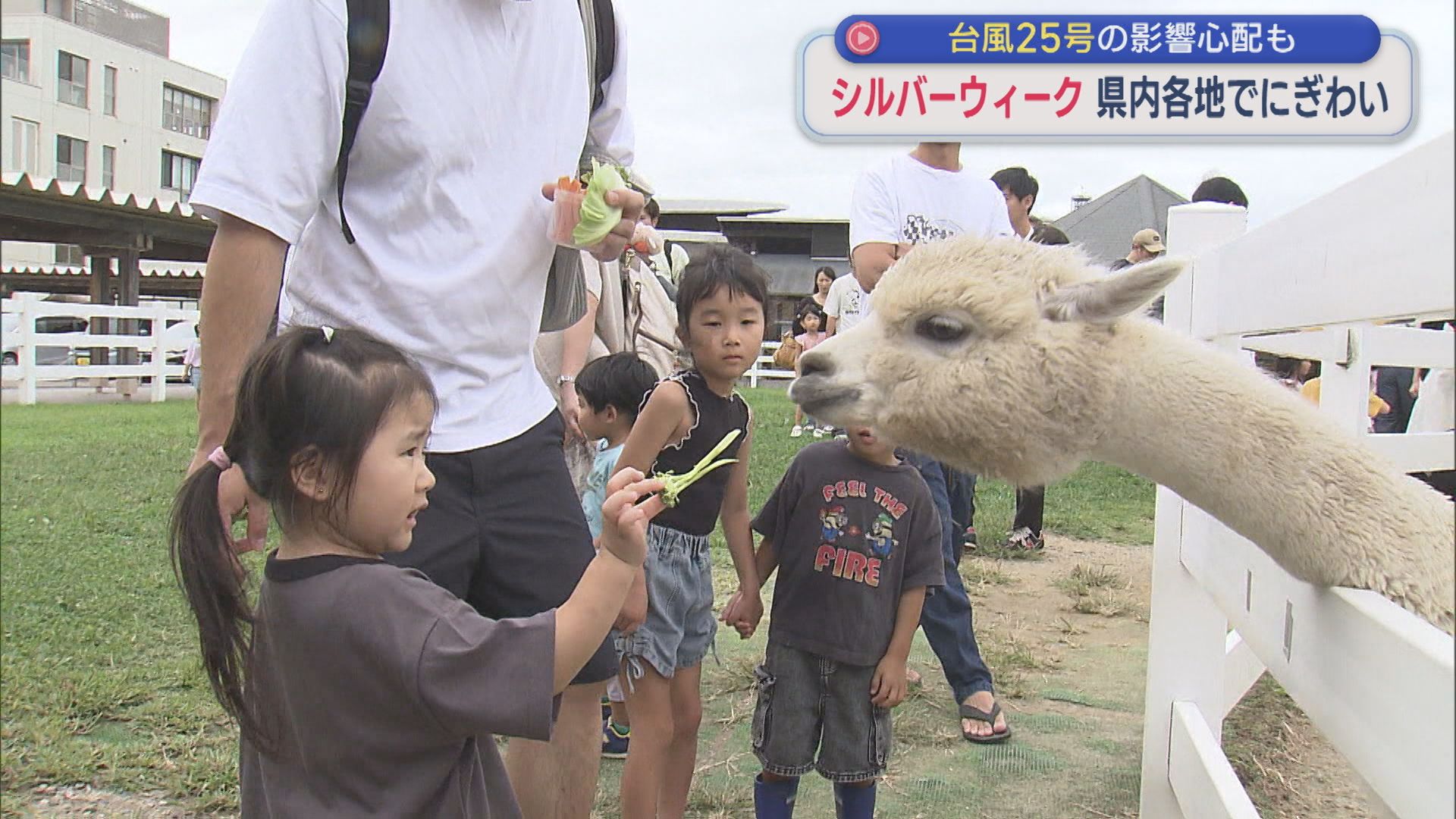 アルパカにカピバラなど 家族で動物とのふれあい楽しむ：シルバーウィーク県内各地は？【新潟】