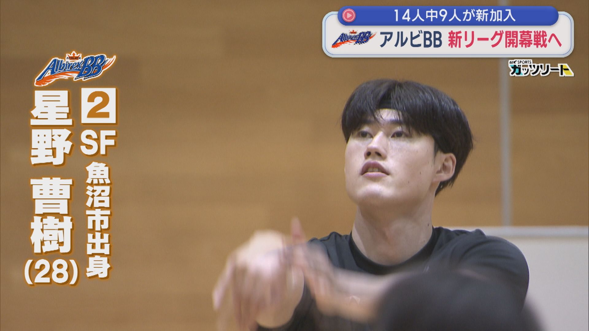 【バスケ｜アルビBB】再び新潟でプレー 星野曹樹選手「結果で証明したい」新リーグ開幕戦へ！【新潟】